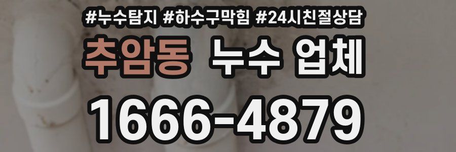 추암동 누수 업체