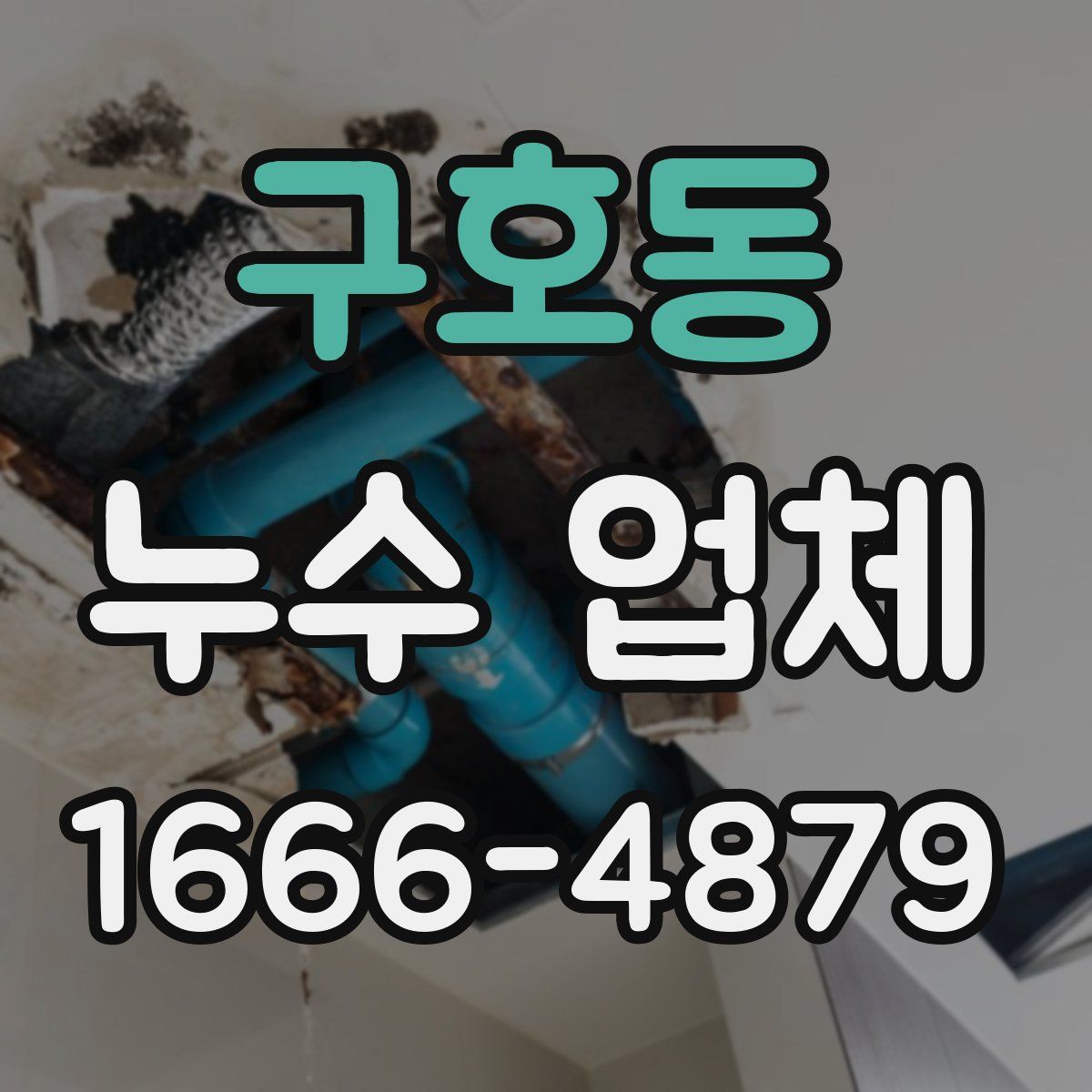 구호동 누수 업체