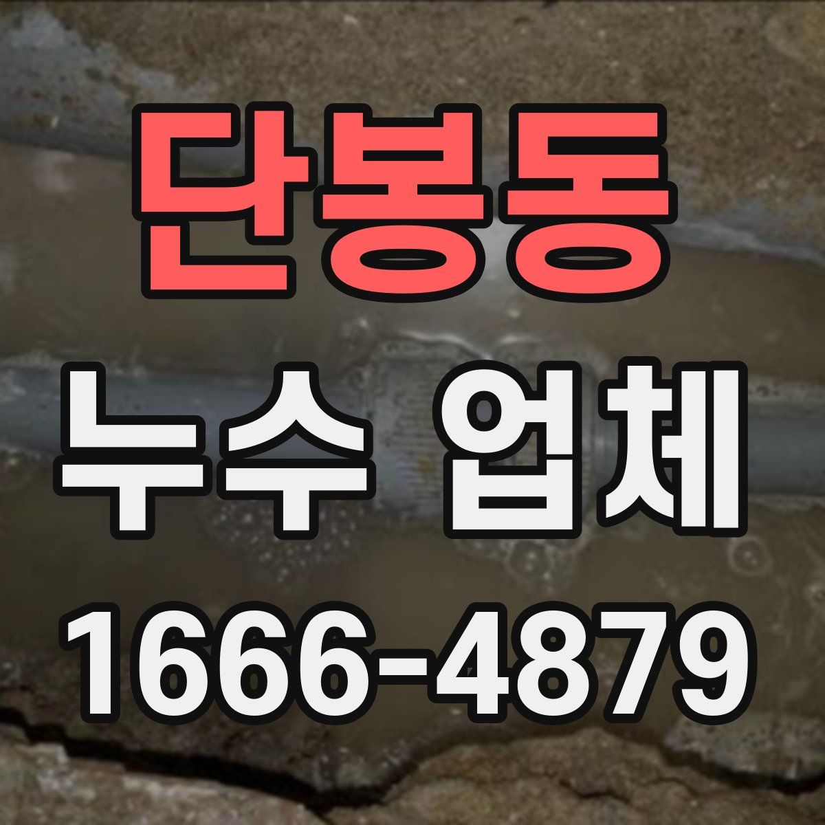 단봉동 누수 업체