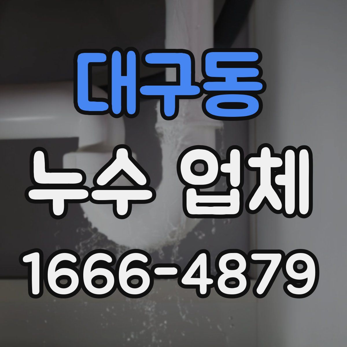 대구동 누수 업체