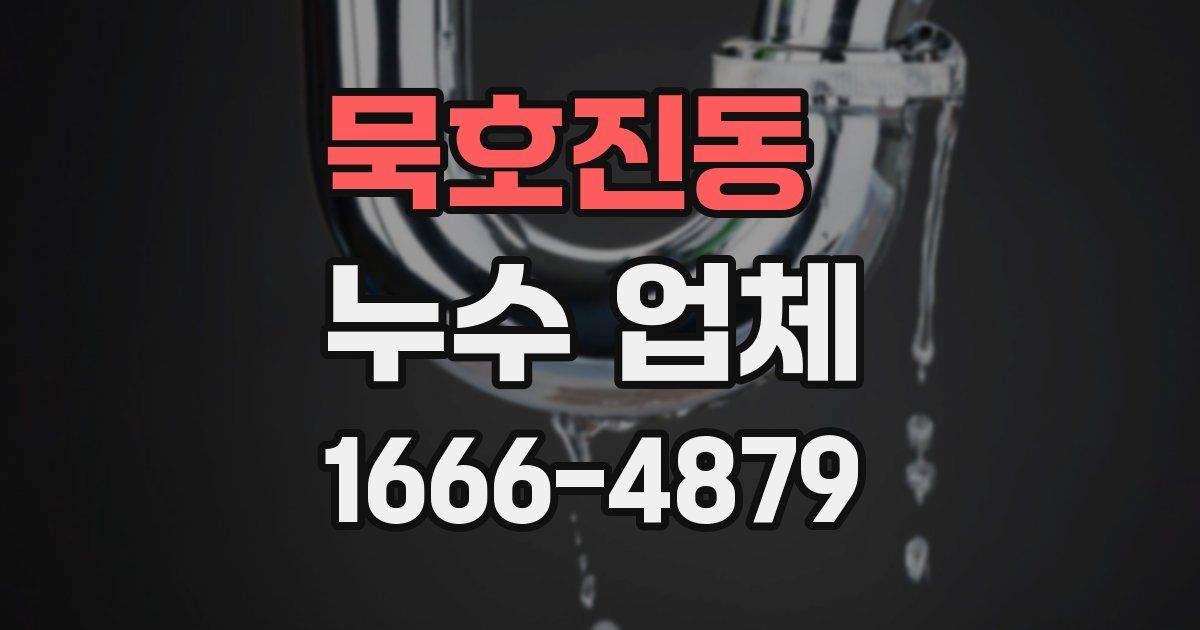묵호진동 누수 업체