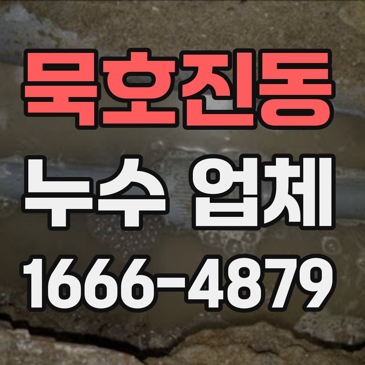 묵호진동 누수 업체