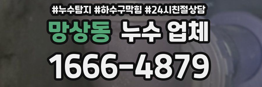 망상동 누수 업체