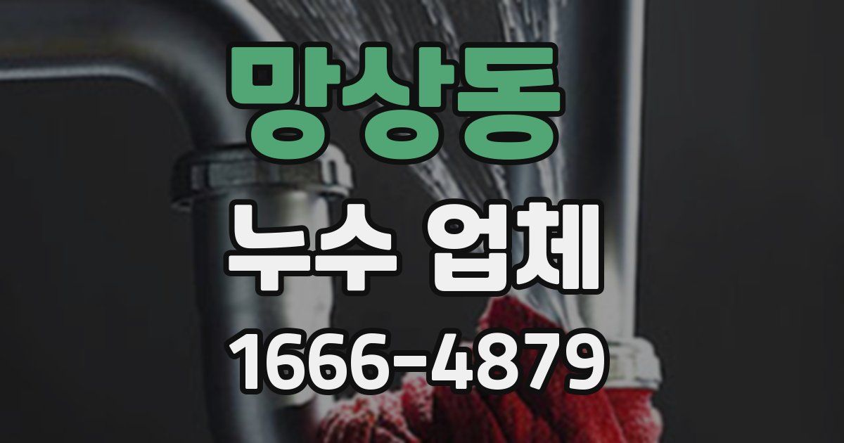 망상동 누수 업체