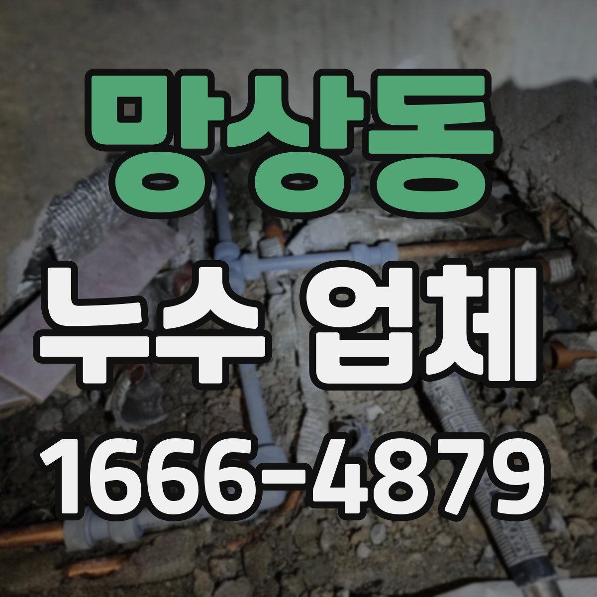 망상동 누수 업체