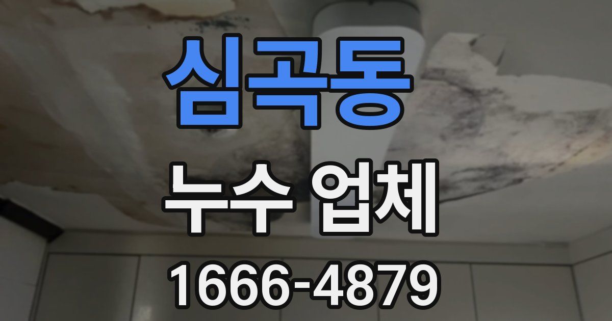 심곡동 누수 업체