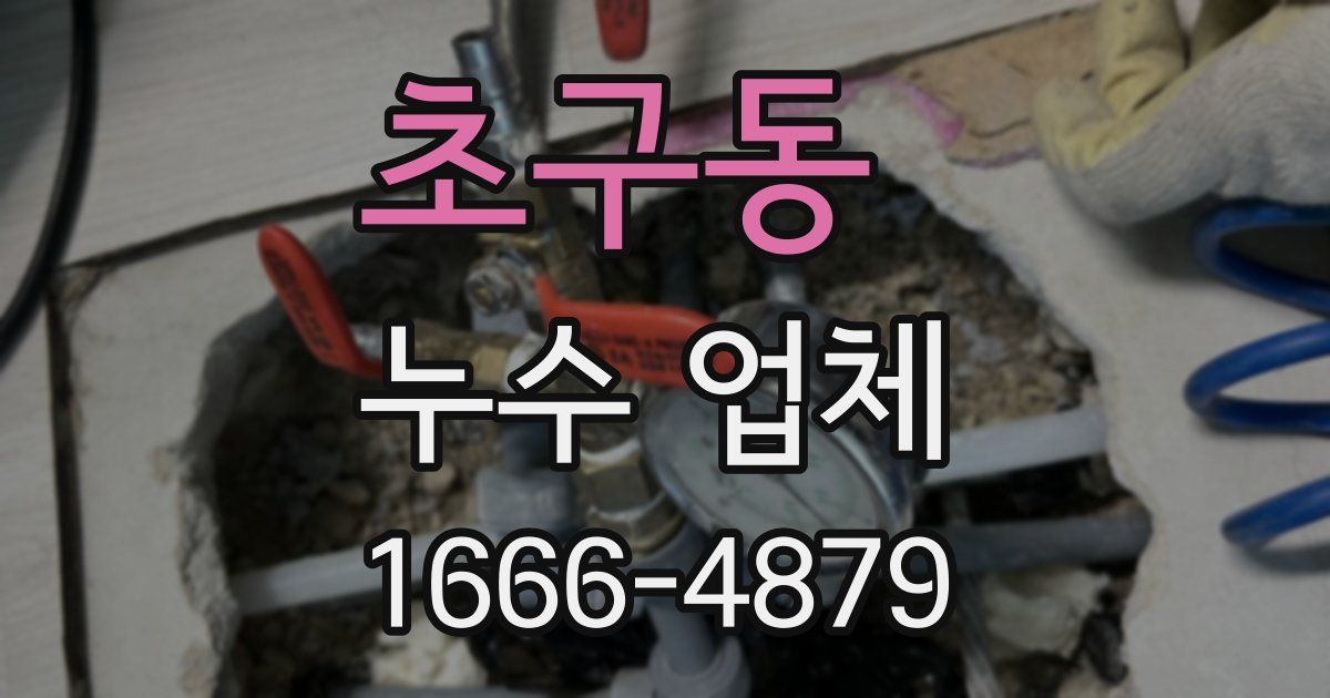 초구동 누수 업체