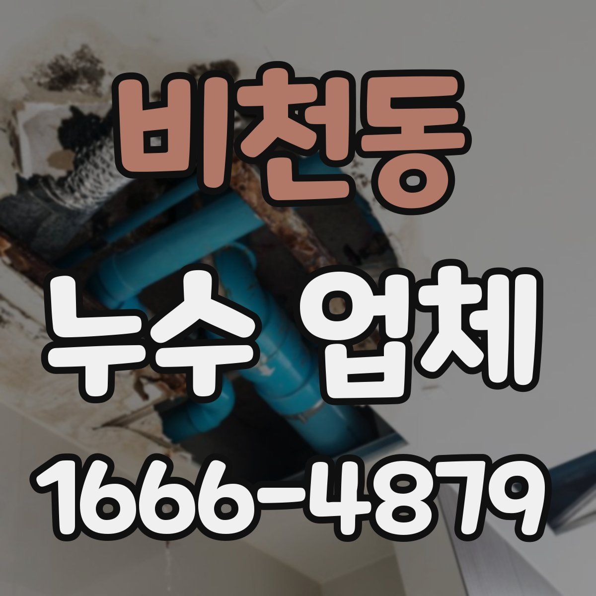 비천동 누수 업체