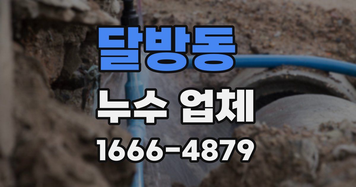 달방동 누수 업체