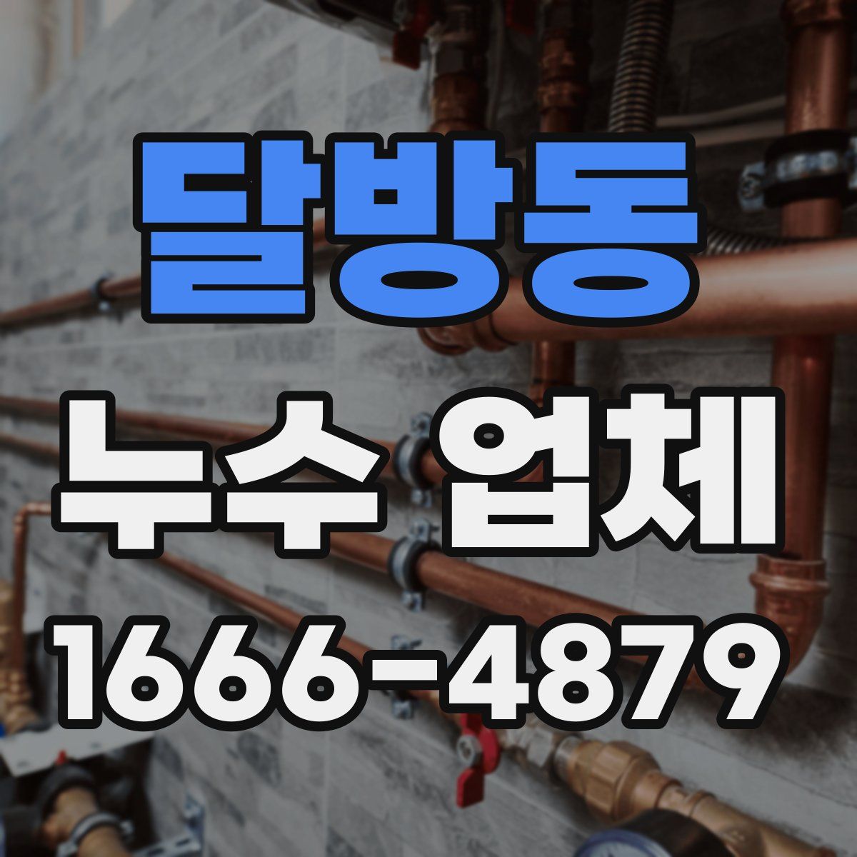 달방동 누수 업체