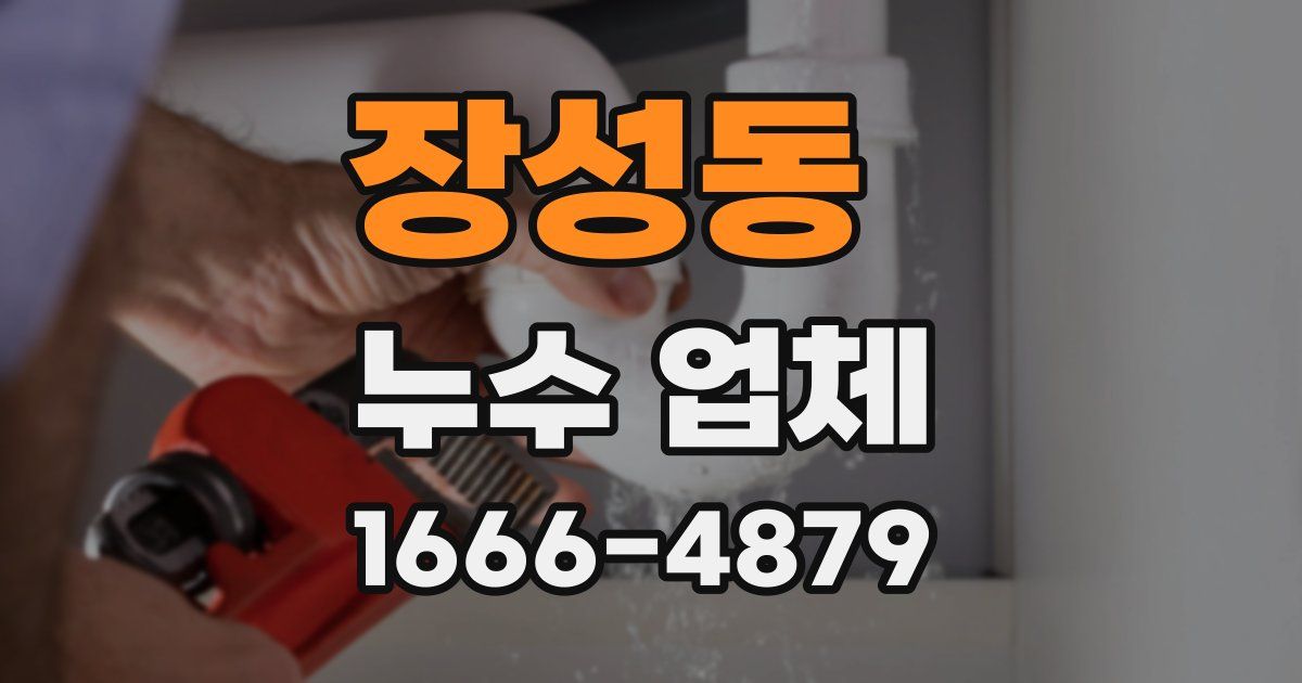 장성동 누수 업체