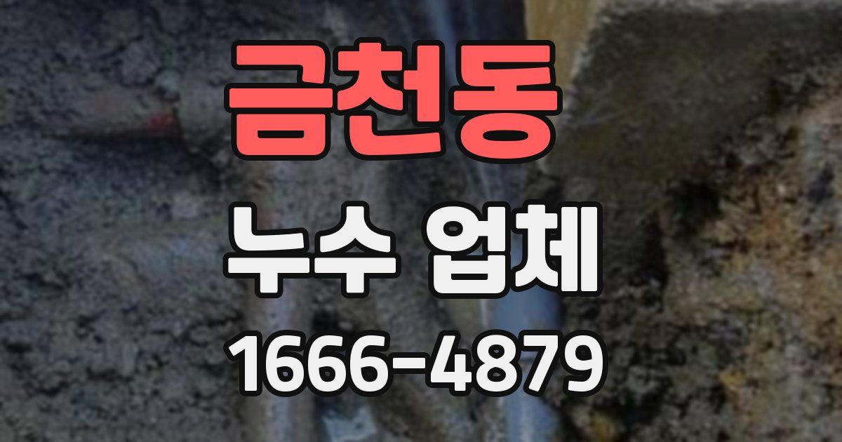 금천동 누수 업체