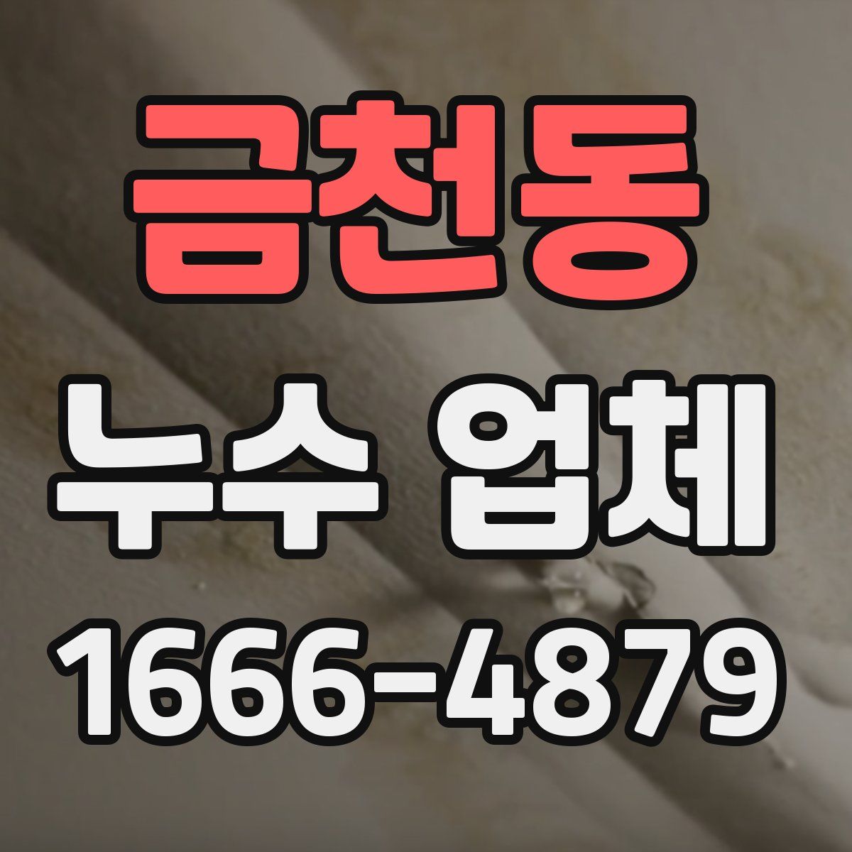 금천동 누수 업체