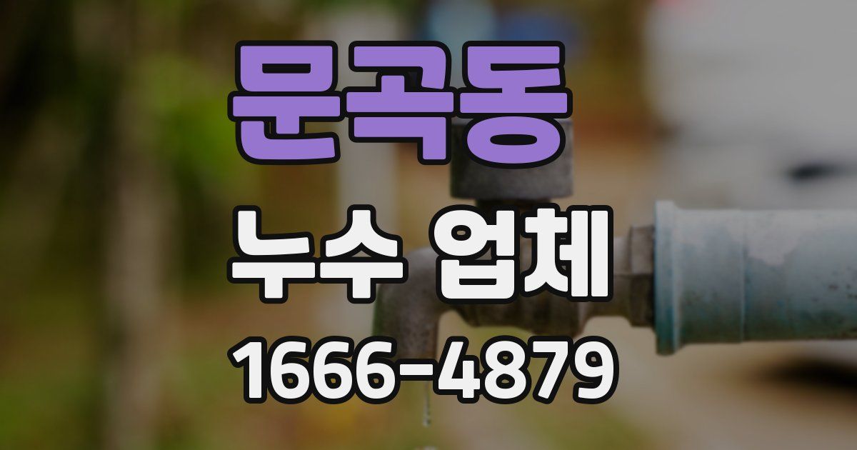 문곡동 누수 업체