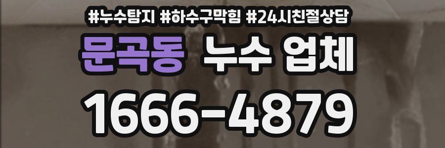 문곡동 누수 업체
