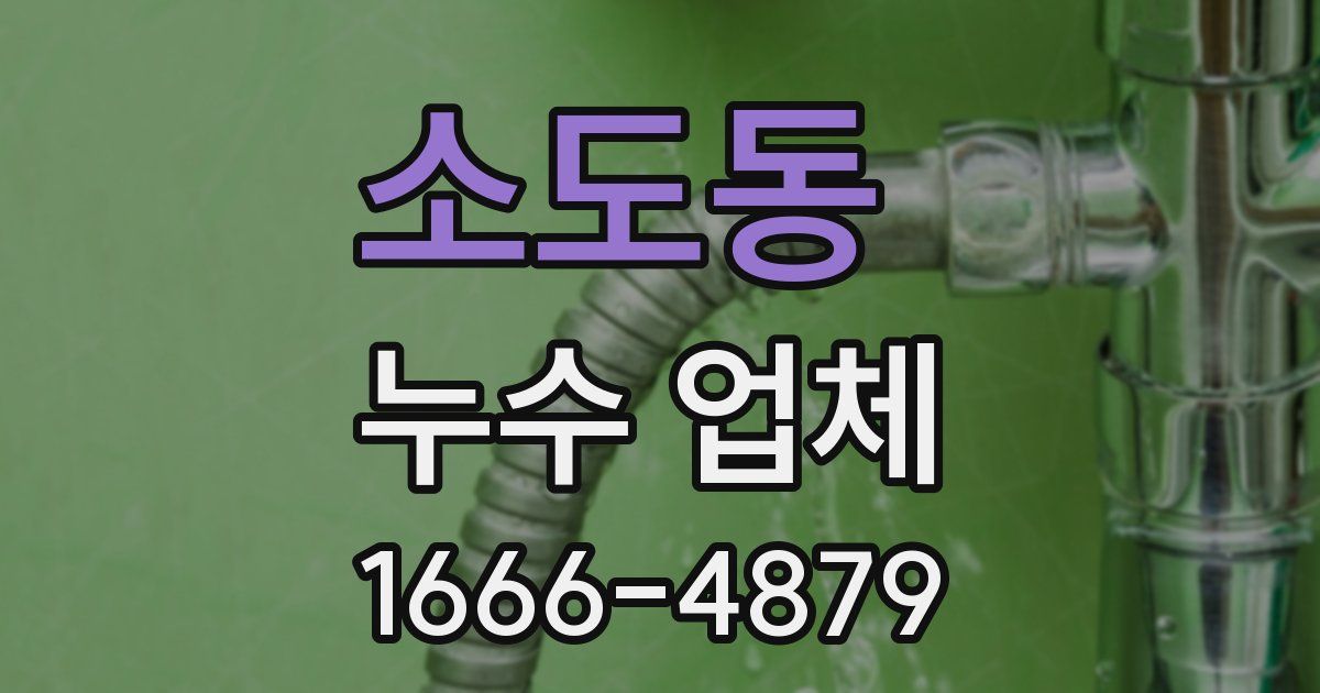 소도동 누수 업체