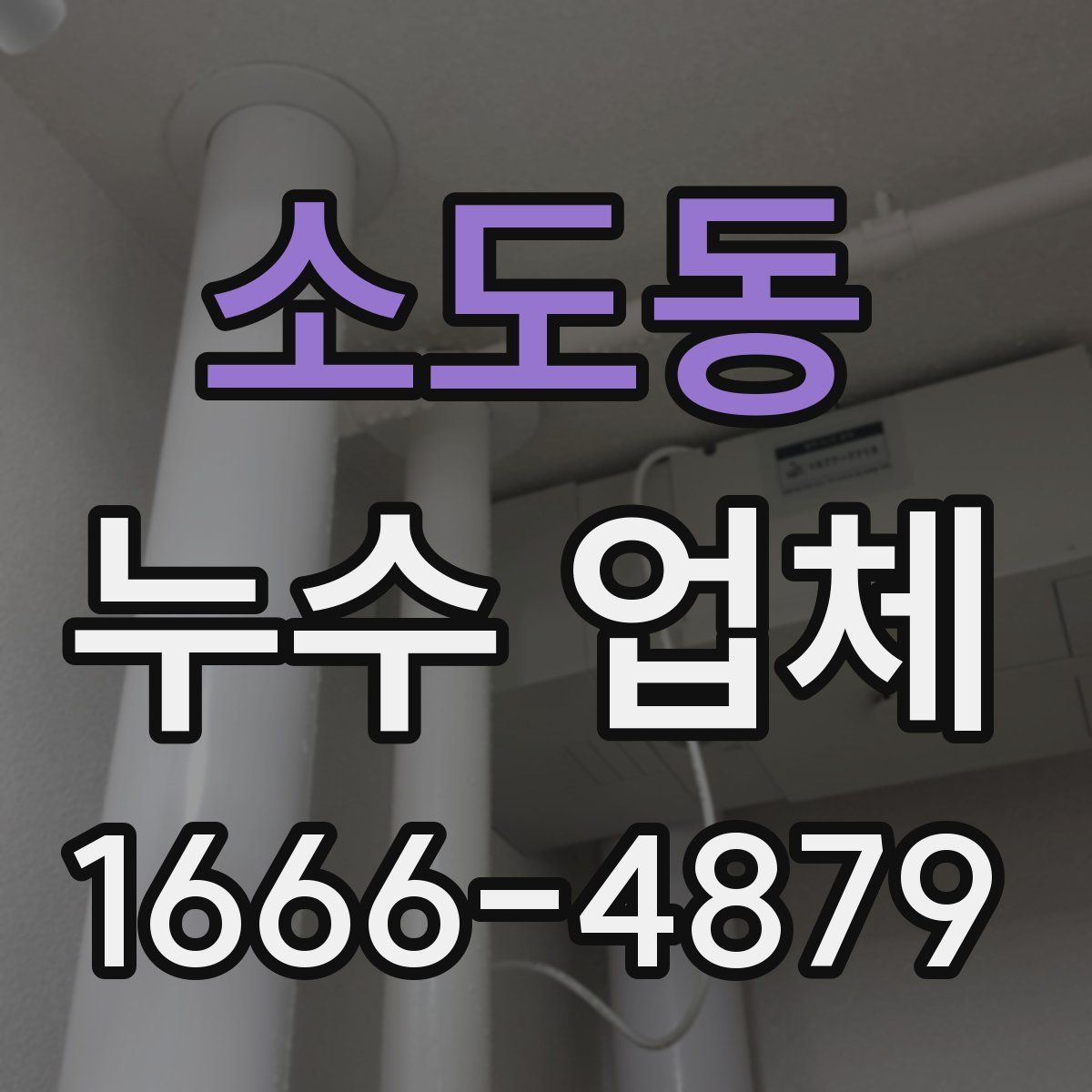 소도동 누수 업체