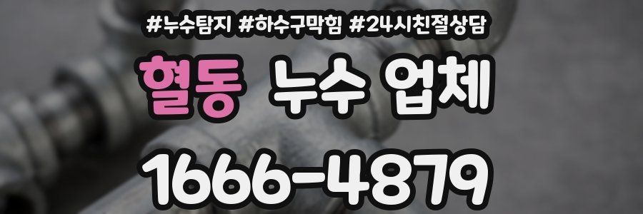 혈동 누수 업체