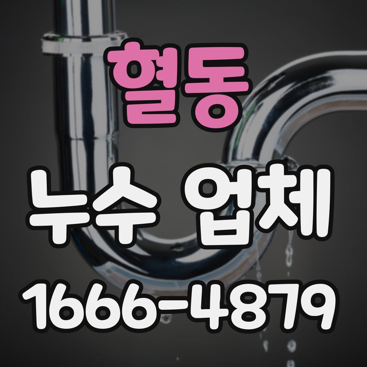 혈동 누수 업체