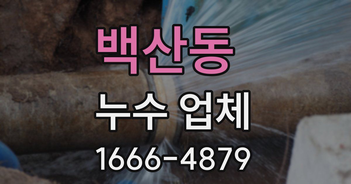 백산동 누수 업체