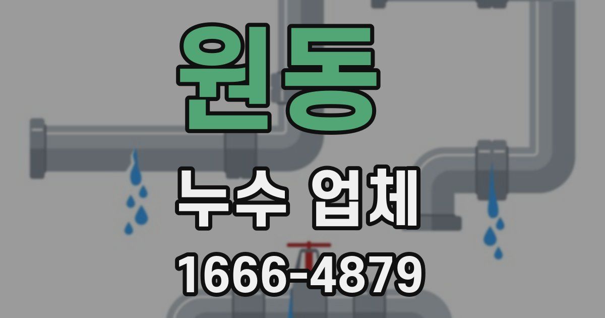 원동 누수 업체