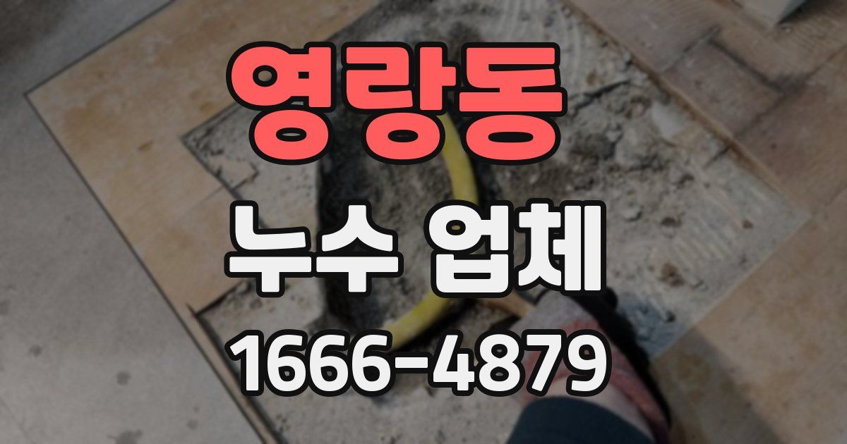 영랑동 누수 업체