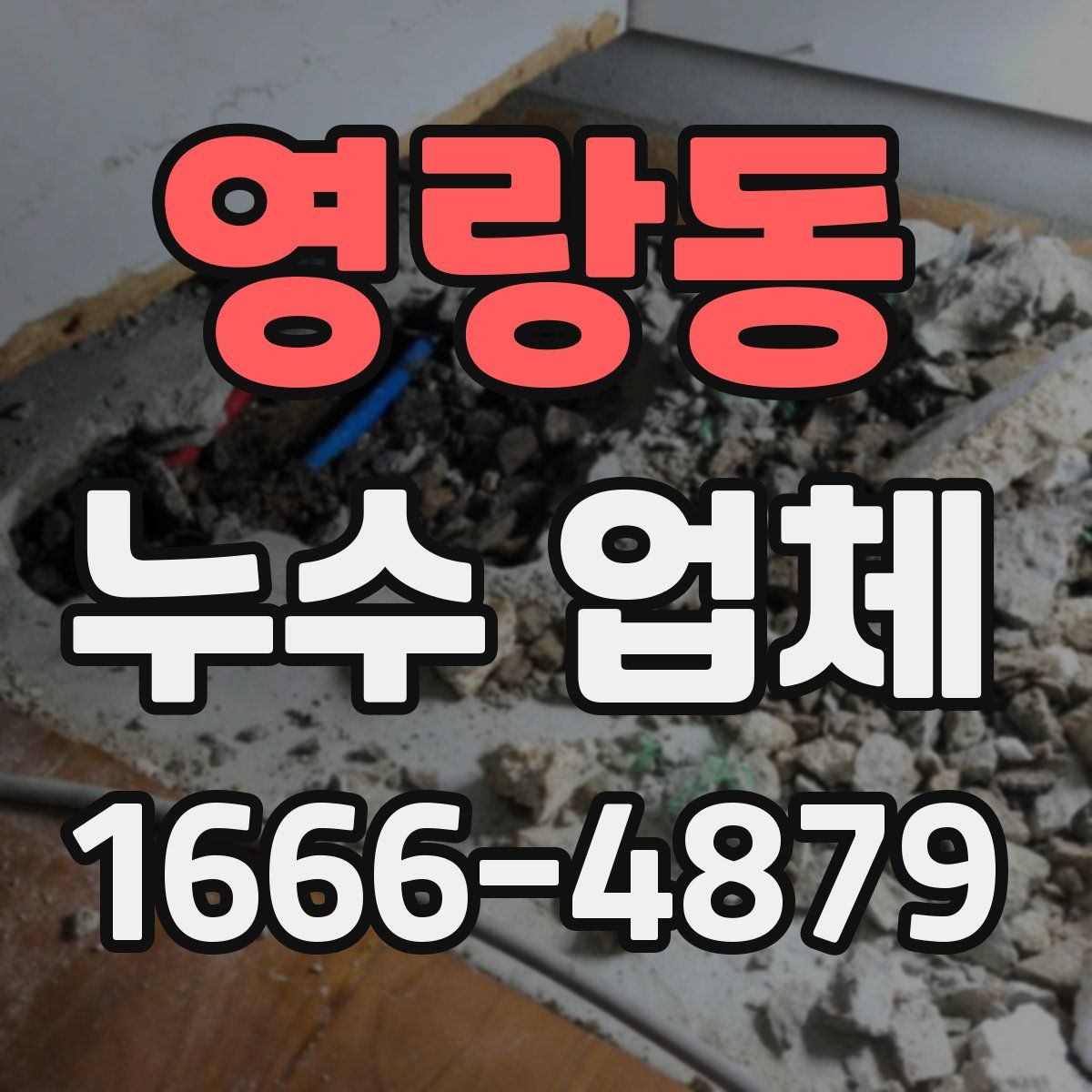 영랑동 누수 업체