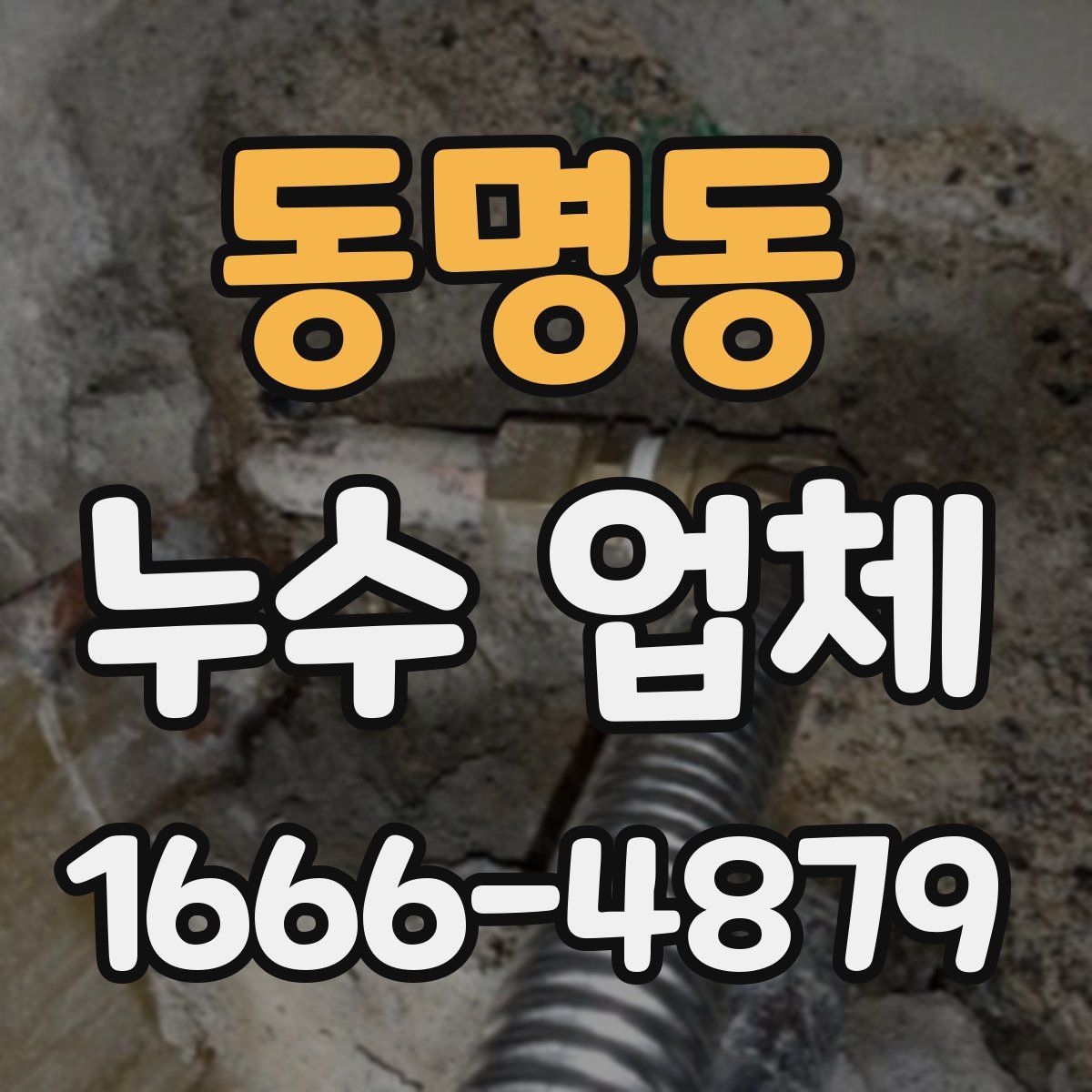 동명동 누수 업체