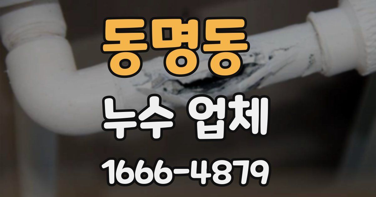 동명동 누수 업체