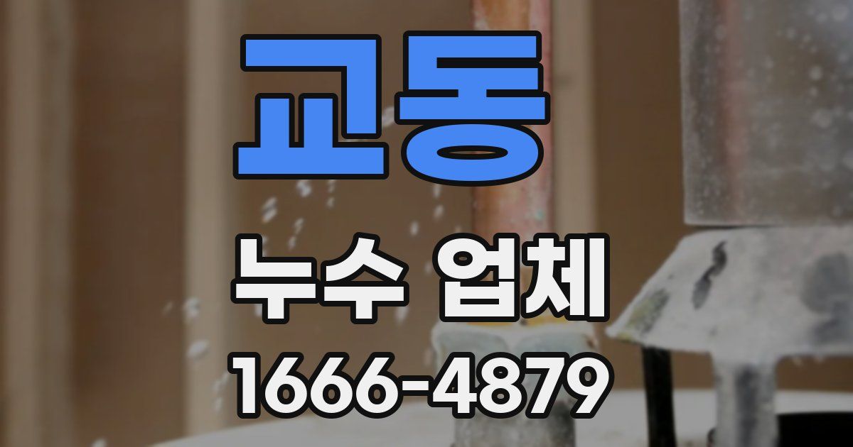 교동 누수 업체