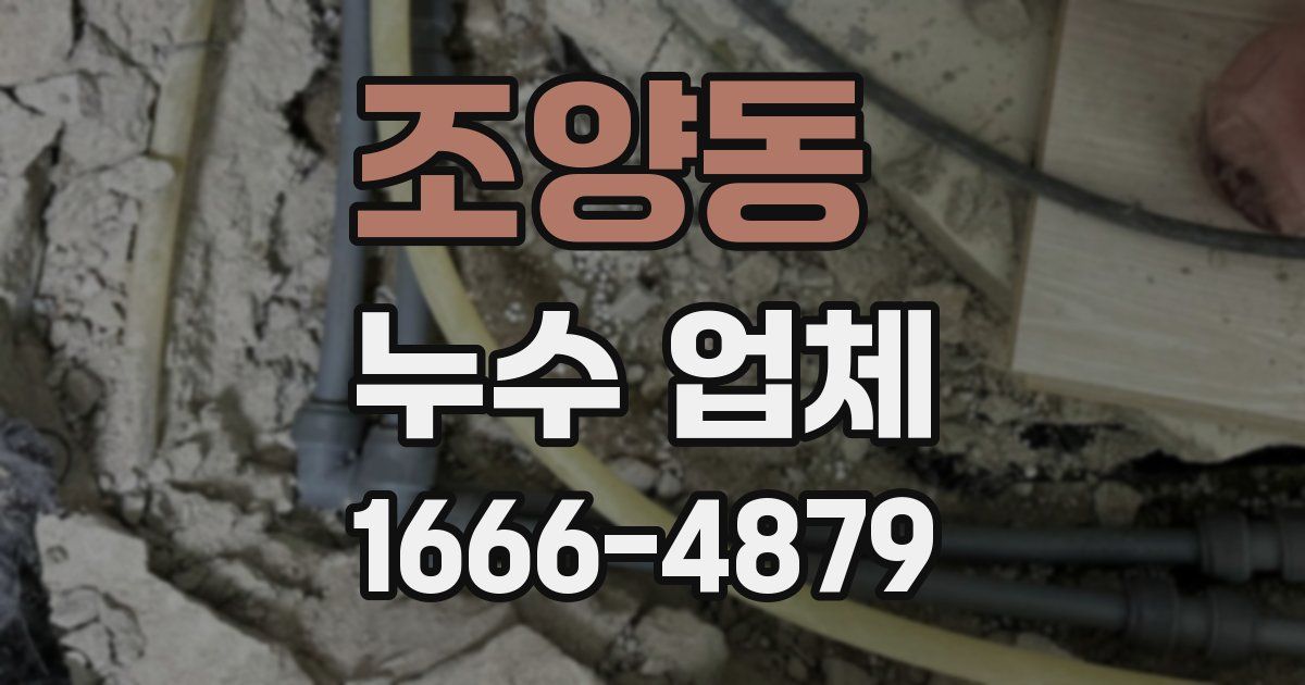 조양동 누수 업체