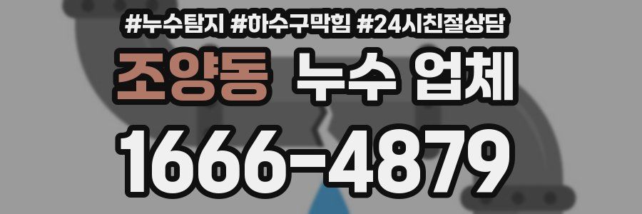 조양동 누수 업체