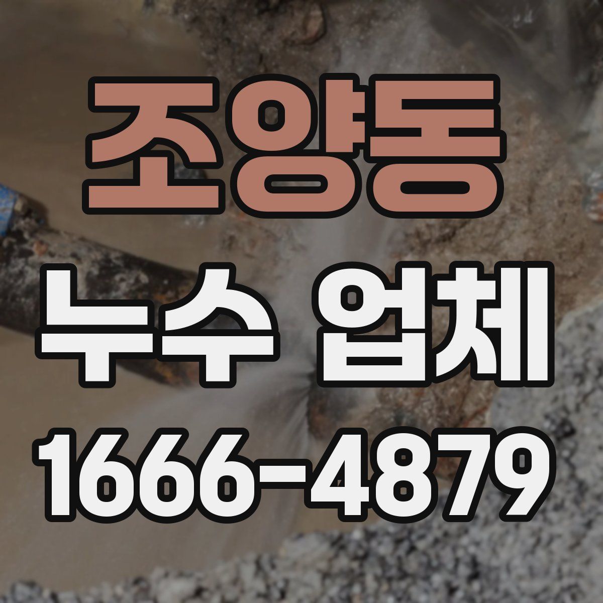 조양동 누수 업체