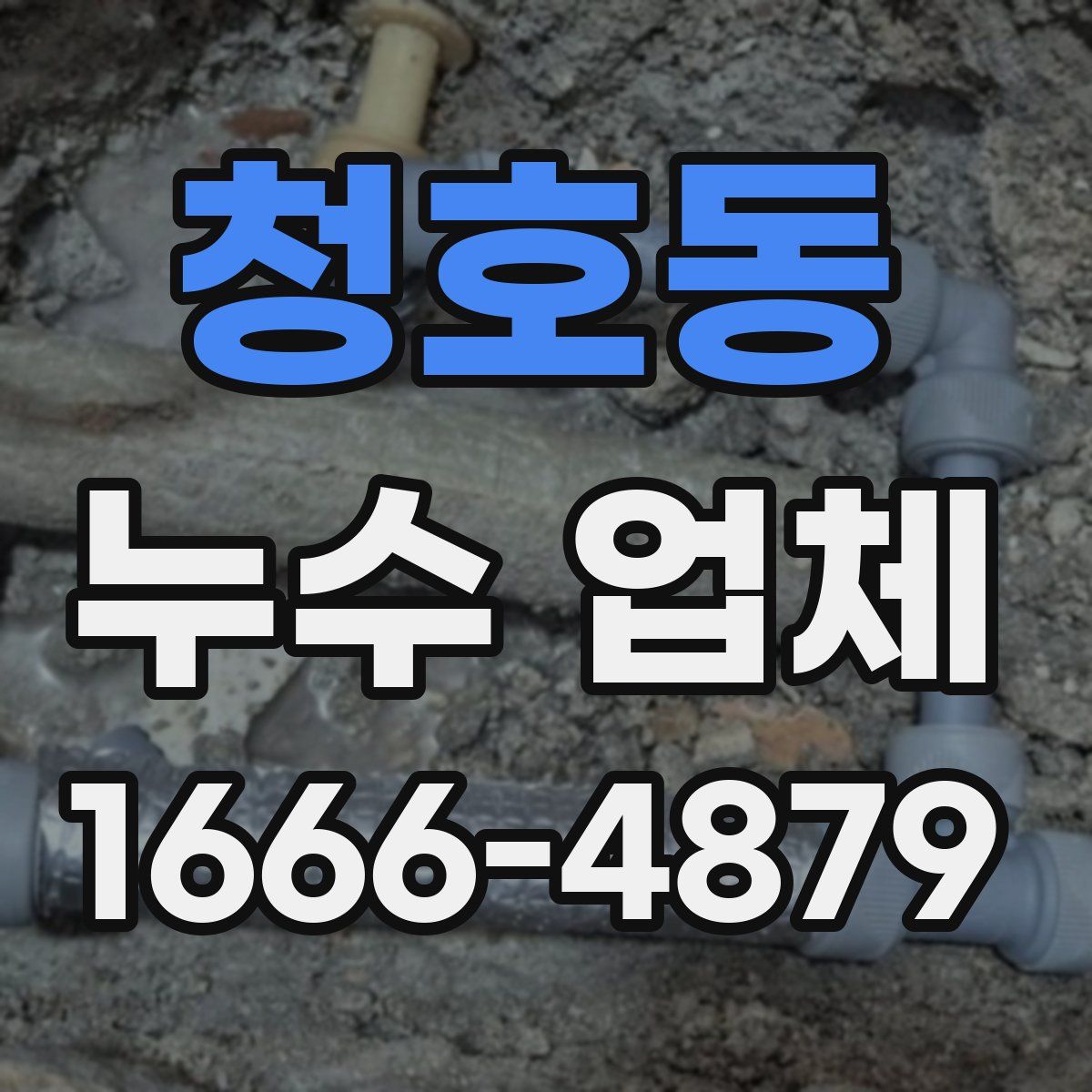 청호동 누수 업체