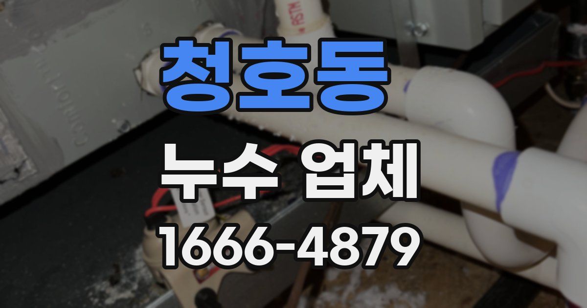 청호동 누수 업체