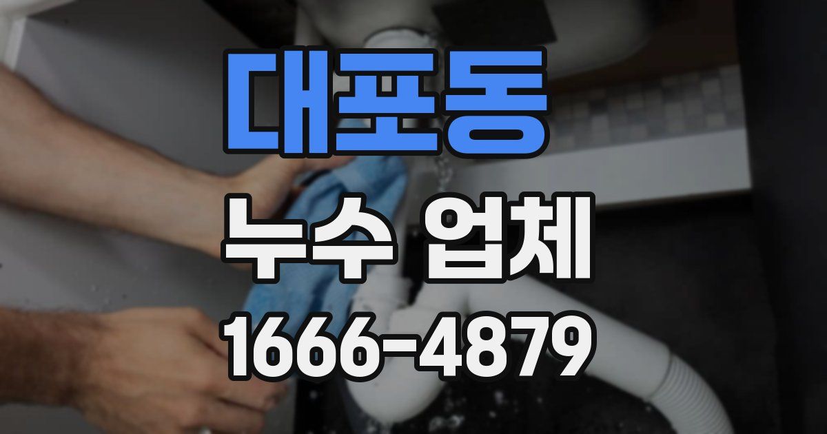 대포동 누수 업체