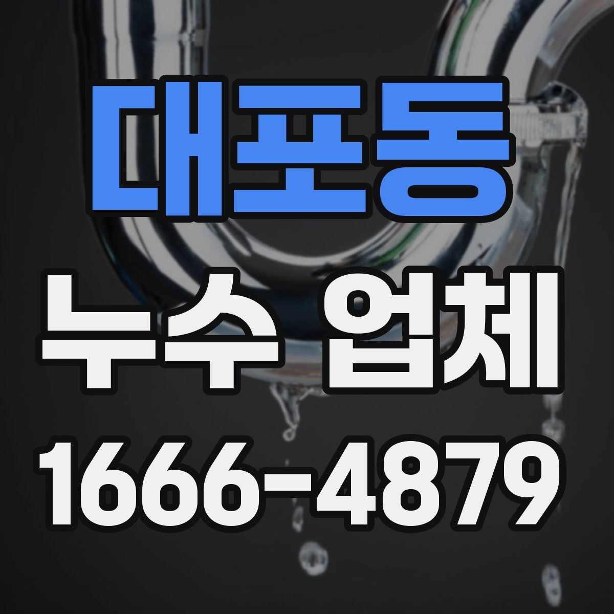대포동 누수 업체