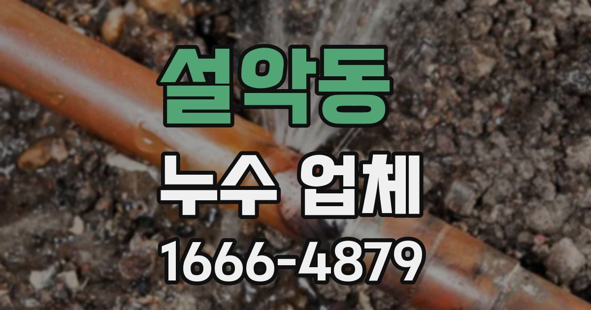 설악동 누수 업체