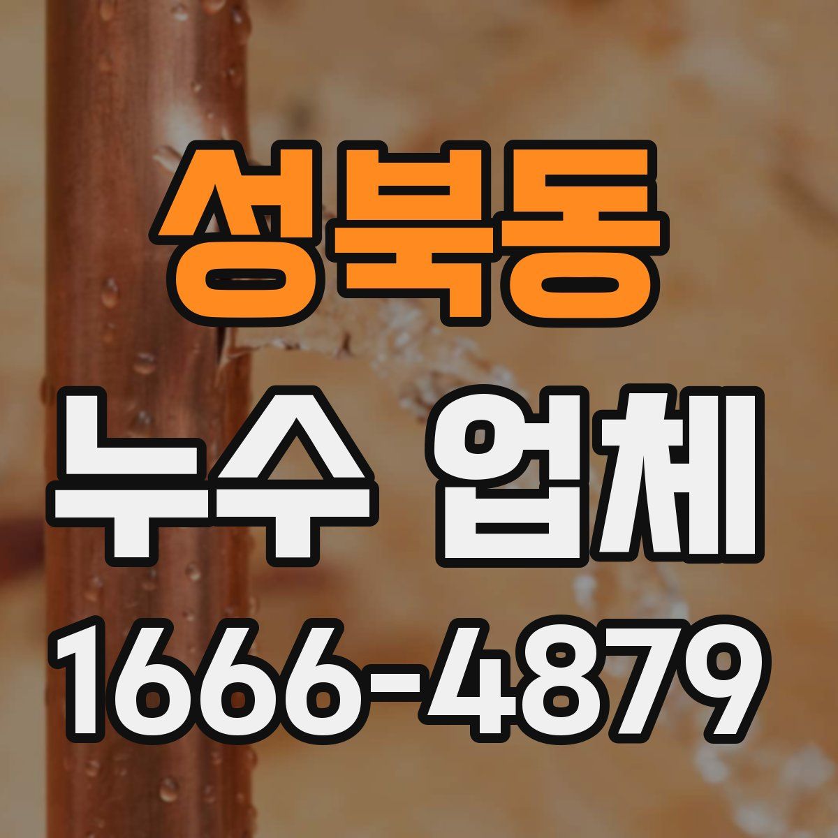 성북동 누수 업체