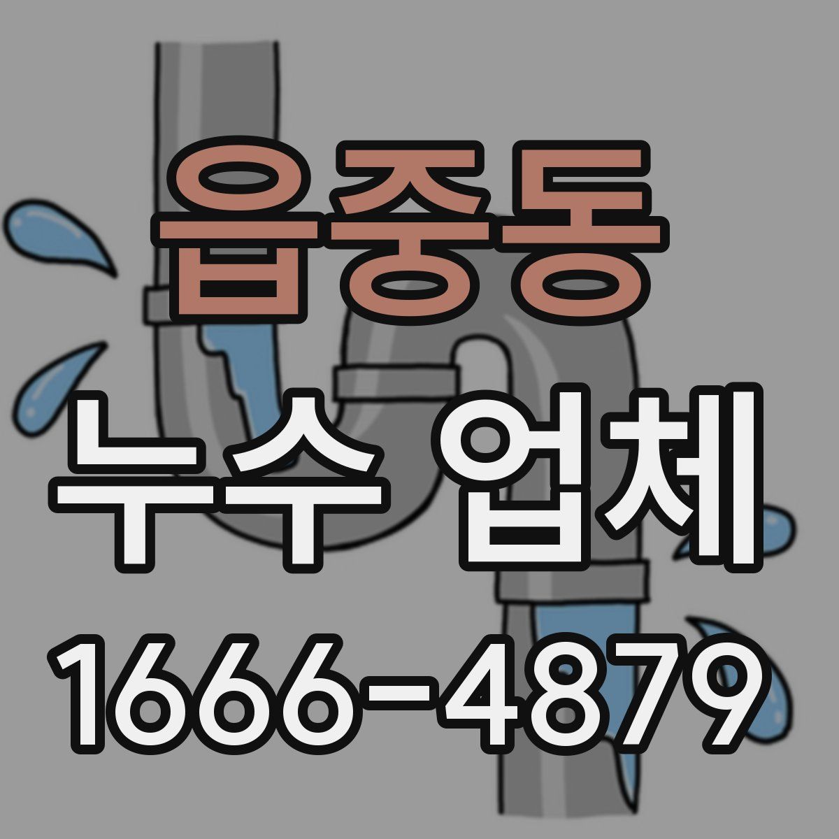 읍중동 누수 업체