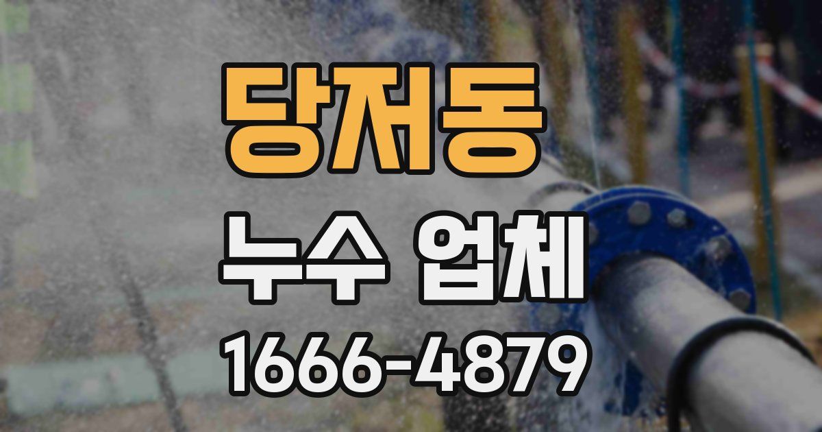 당저동 누수 업체