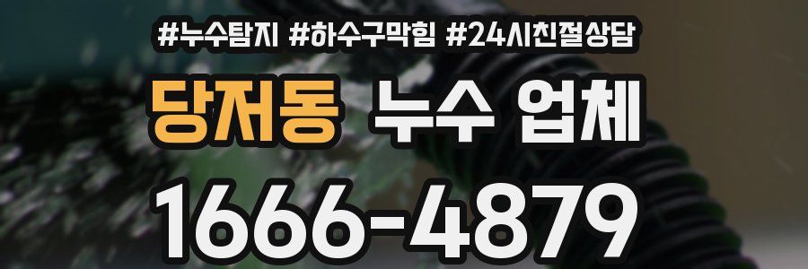 당저동 누수 업체