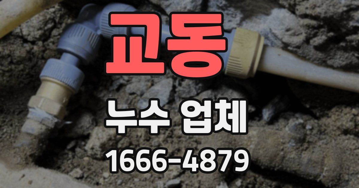 교동 누수 업체
