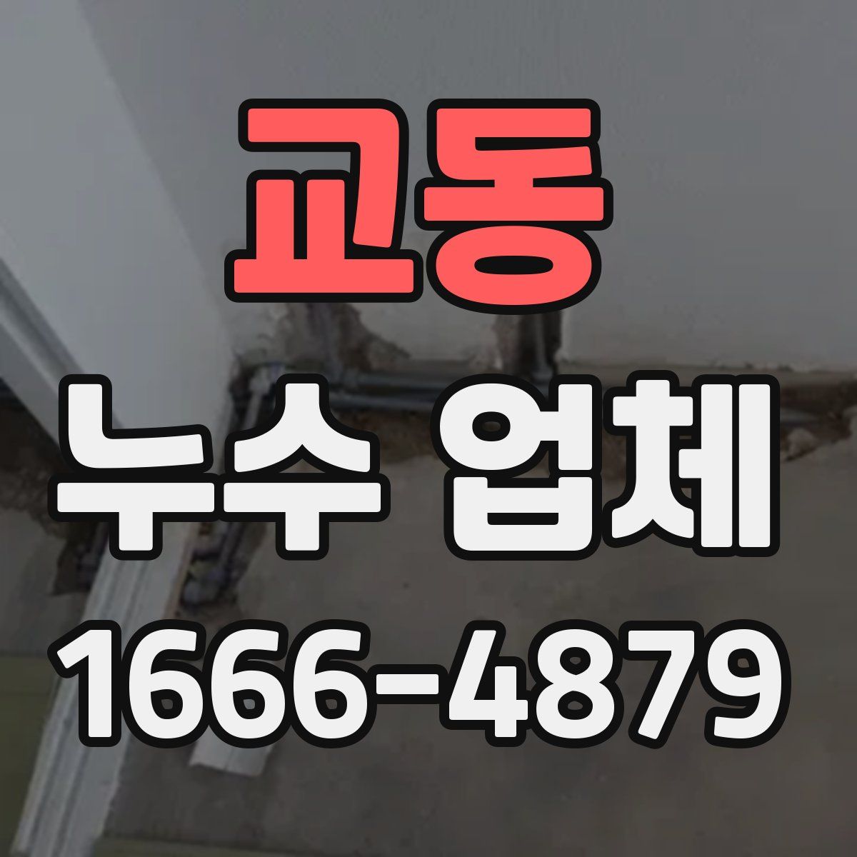 교동 누수 업체