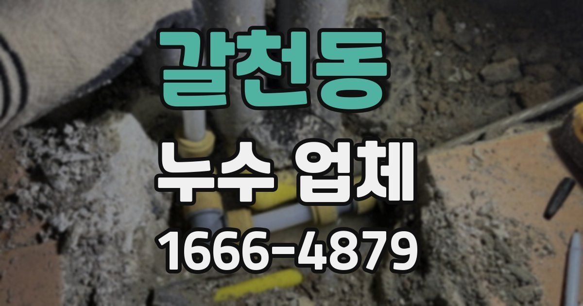갈천동 누수 업체