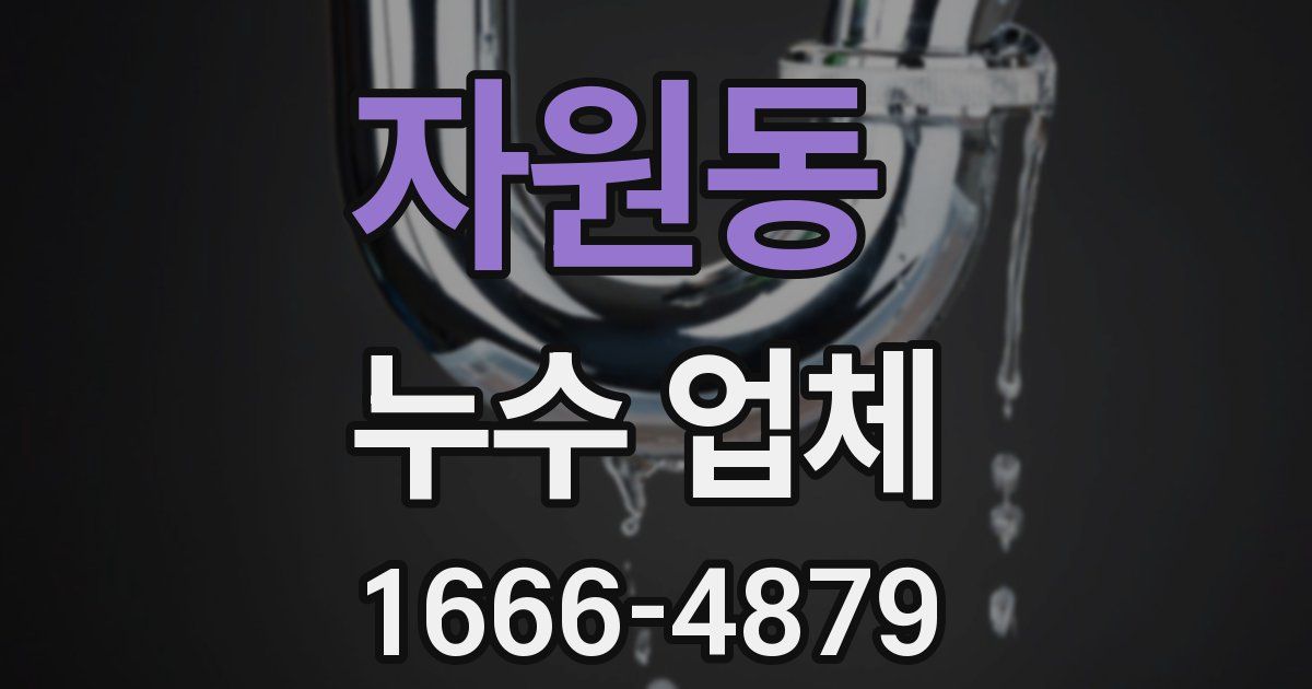 자원동 누수 업체