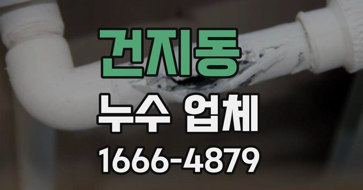 건지동 누수 업체