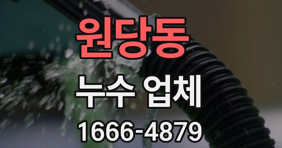 원당동 누수 업체
