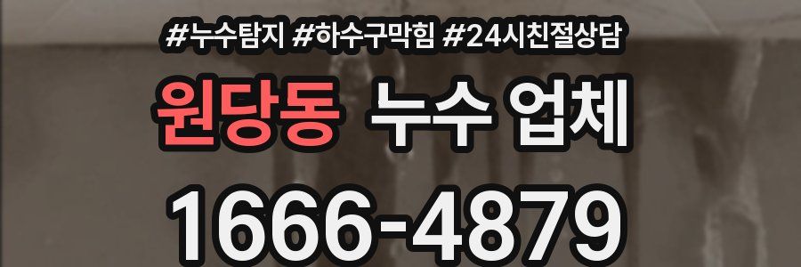 원당동 누수 업체