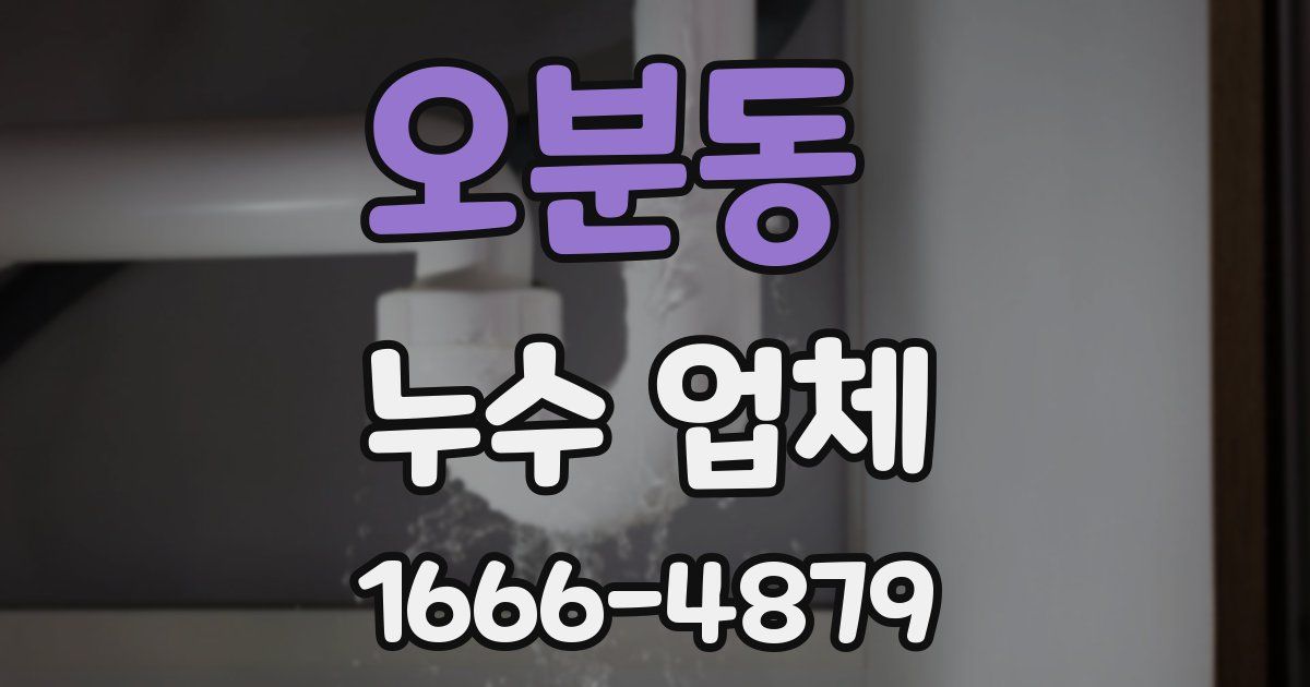오분동 누수 업체